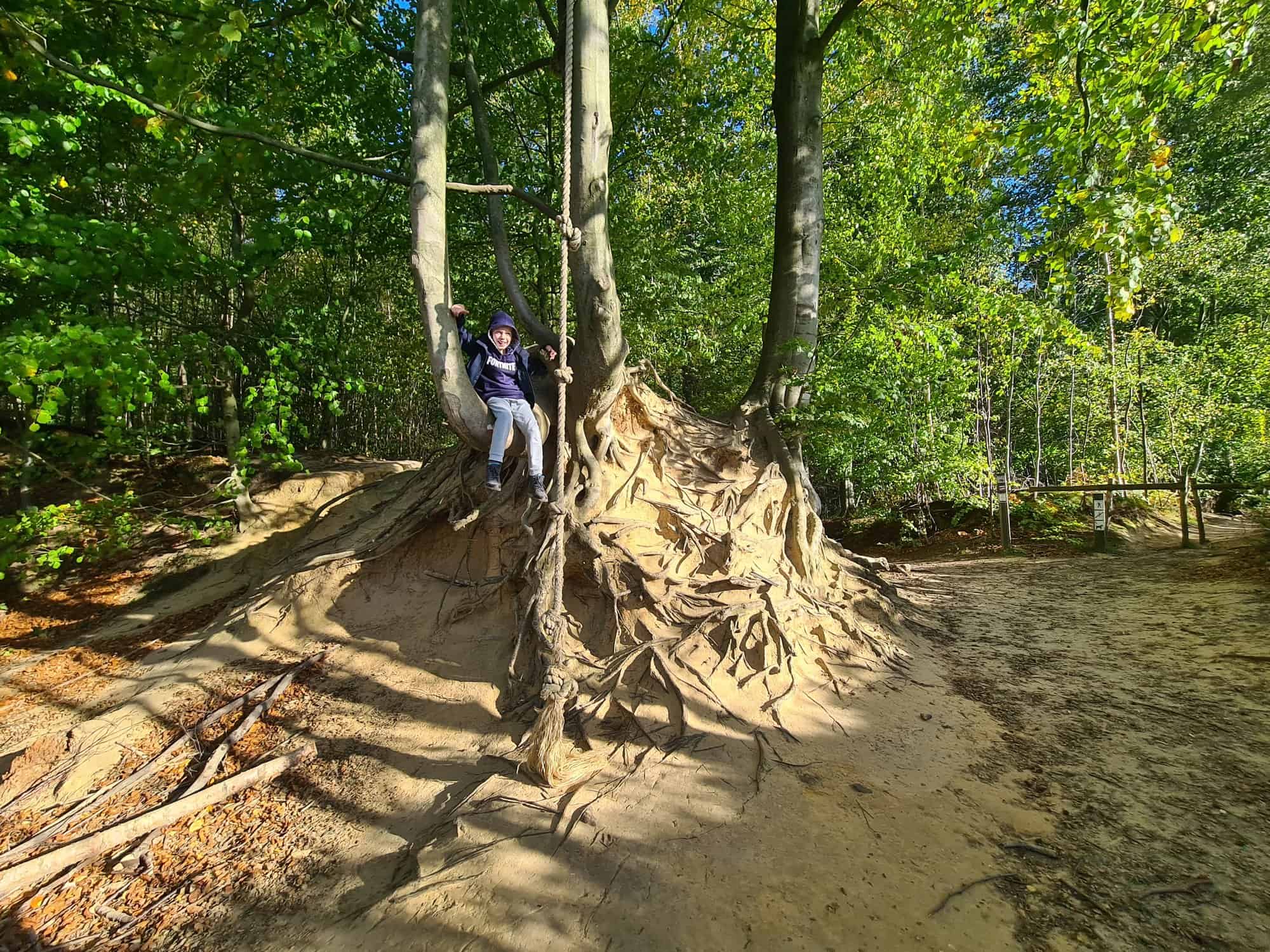 Boswandeling in het Brakelbos