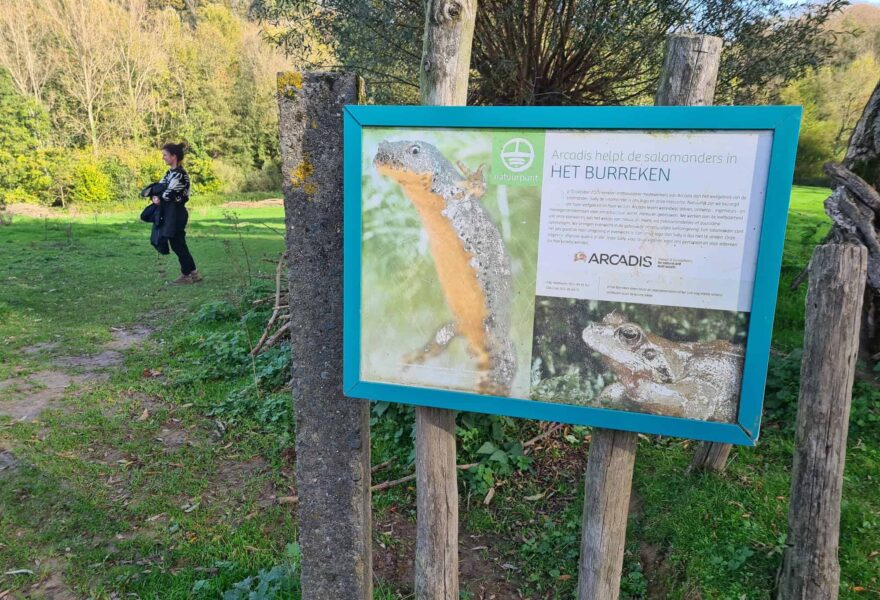 Infobord in natuurgebied Het Burreken