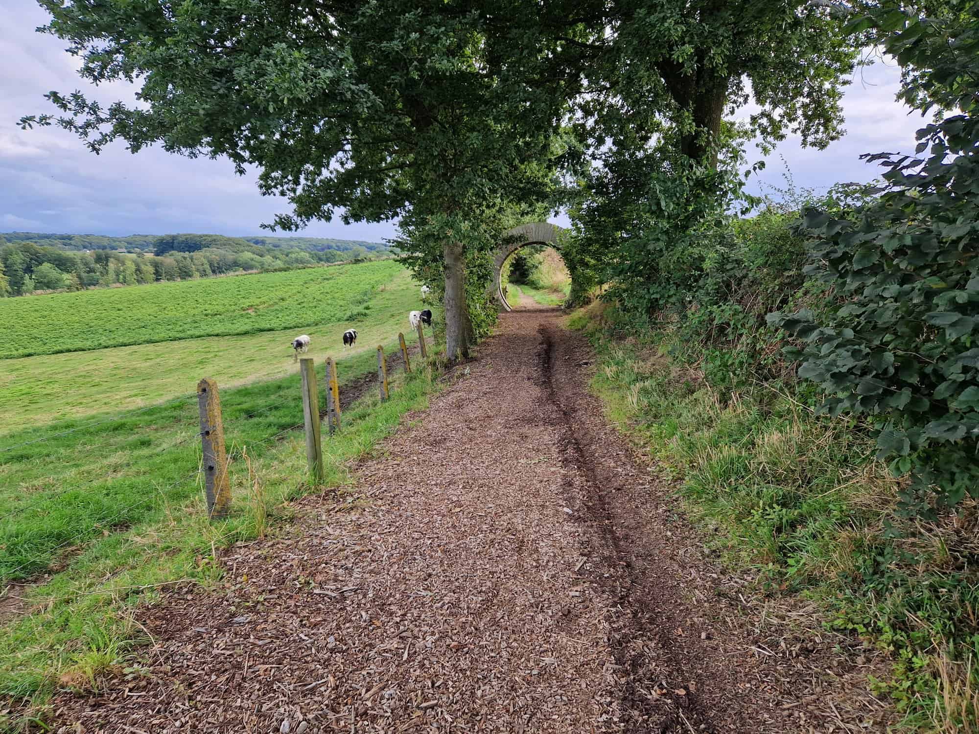 Holle weg tussen de velden in de Vlaamse Ardennen