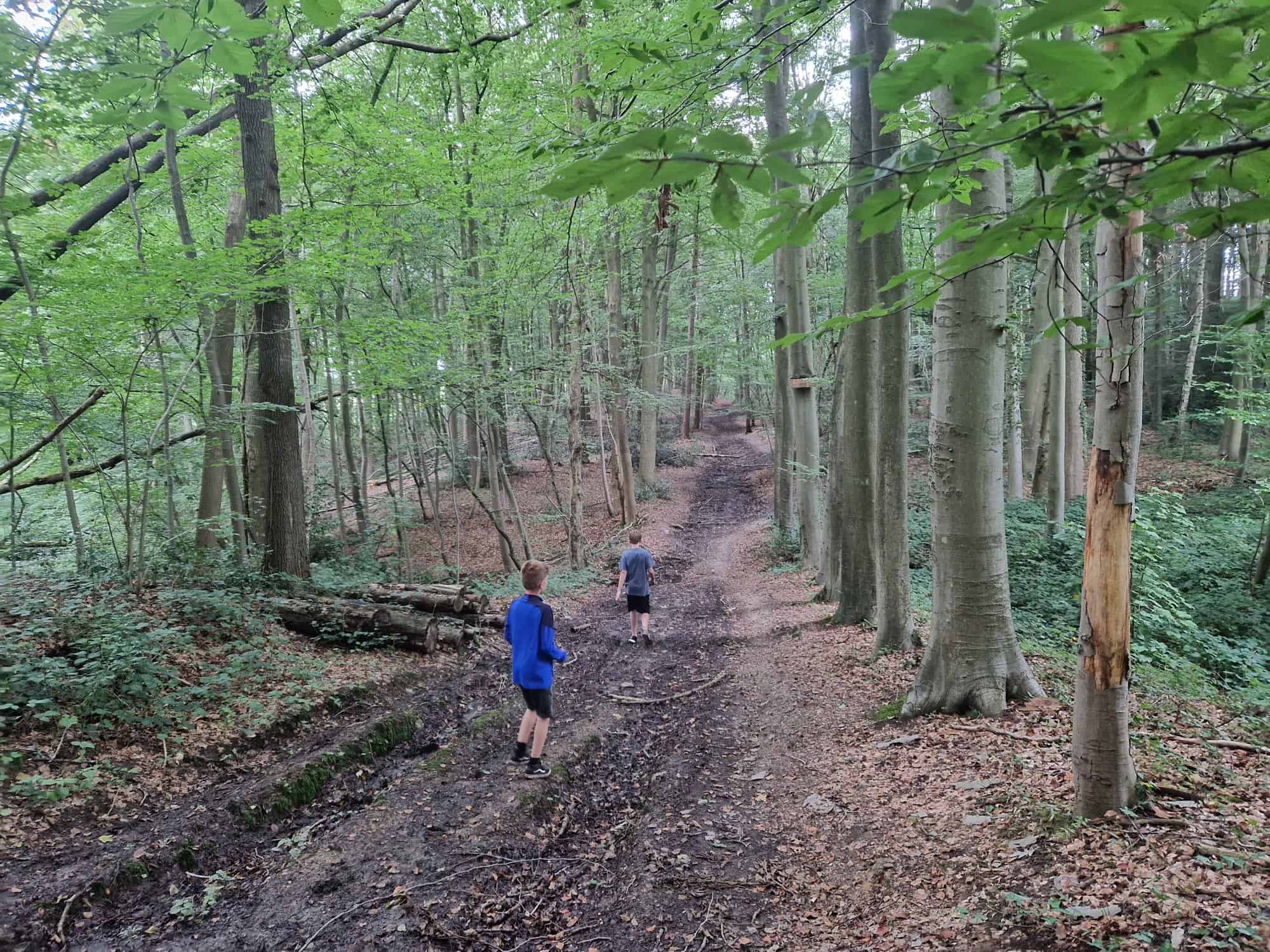 Wandelen in Bos Ter Eecken