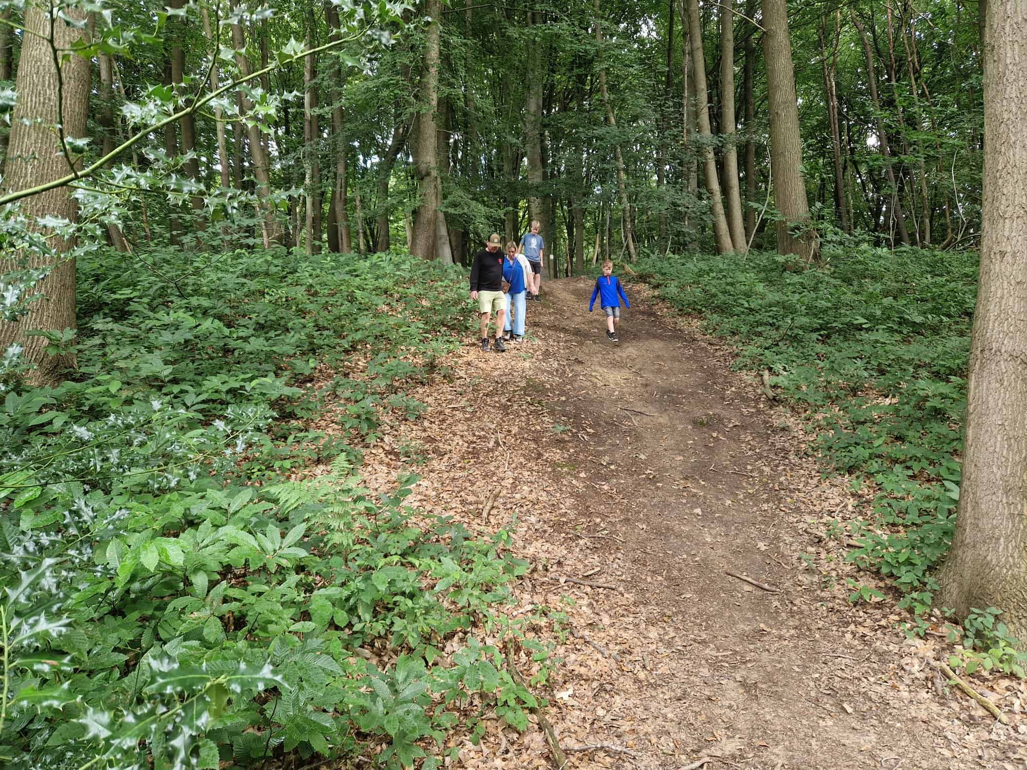 Wandelen in Bos Ter Eecken