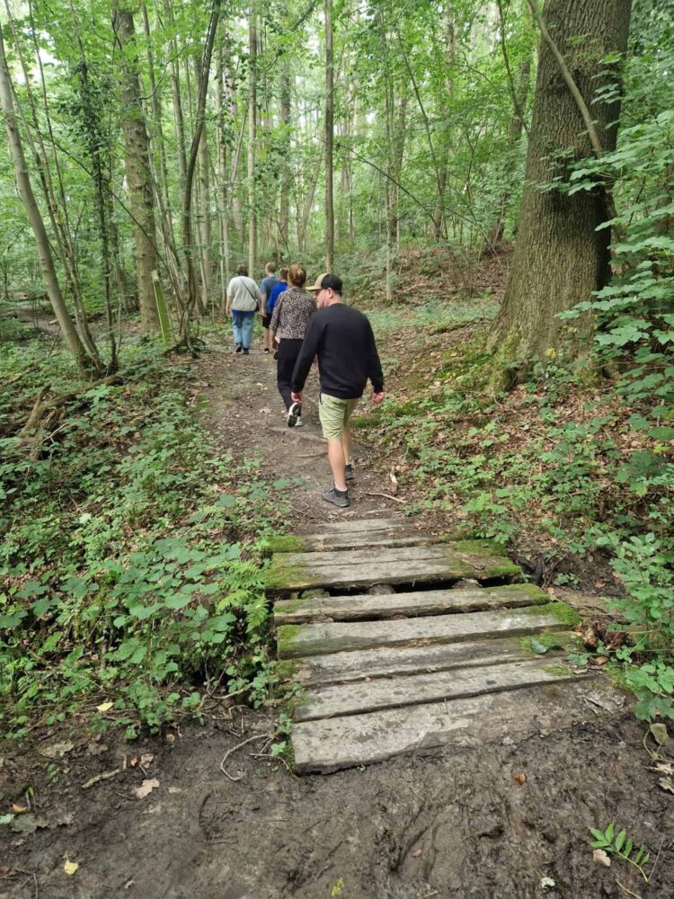 Wandelen in Bos Ter Eecken